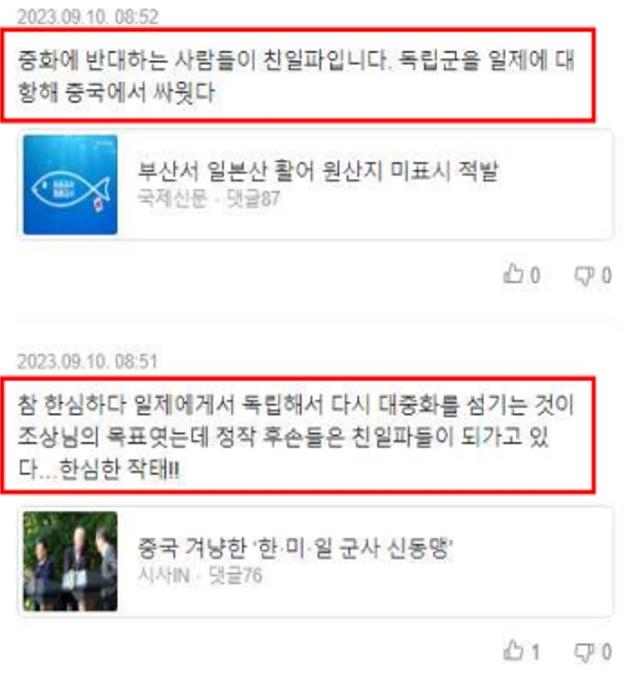 중국인 추정 계정이 작성한 최근 댓글. 윤민우 가천대 교수 제공