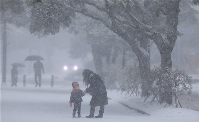 22일 오전 제주시 연동 거리에 많은 눈이 내리고 있다. 이날 제주는 전날에 이어 전역에 대설특보가 내려졌다.2023.12.22 뉴스1