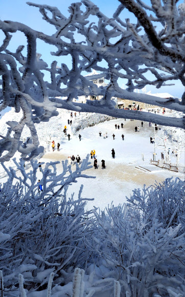 최근 20cm의 폭설이 쏟아지면서 23일 전북 무주군 덕유산국립공원 향적봉 일대가 멋진 설경을 자랑하고 있다. 2023.12.23 연합뉴스