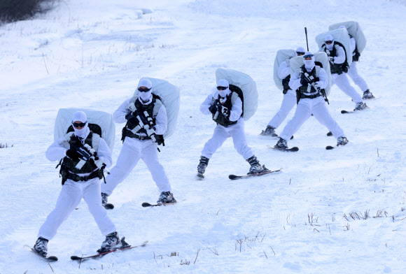 추위도 문제 없다