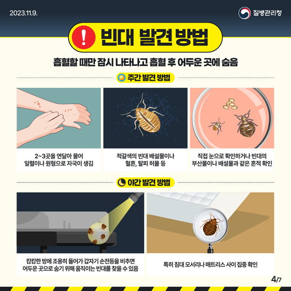 자료 질병청 제공