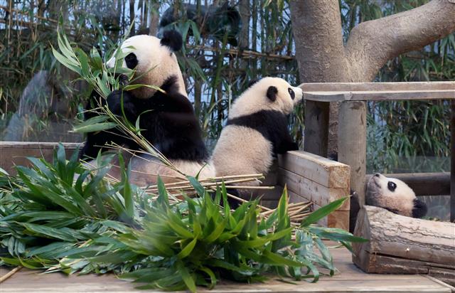 모든게 신기할 나이