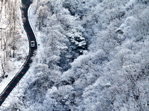3일 경북 칠곡군 국립칠곡숲체원에 눈이 쌓여 있다. 2024.1.3 연합뉴스