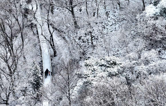 3일 경북 칠곡군 국립칠곡숲체원에서 한 가족이 눈 내린 산책로를 걷고 있다. 2024.1.3 연합뉴스