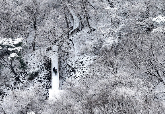 3일 경북 칠곡군 국립칠곡숲체원에서 한 가족이 눈 내린 산책로를 걷고 있다. 2024.1.3 연합뉴스