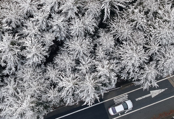 3일 경북 칠곡군 다부동전적기념관 인근 도로에 식재된 가로수 위로 눈이 쌓여 있다. 2024.1.3 연합뉴스