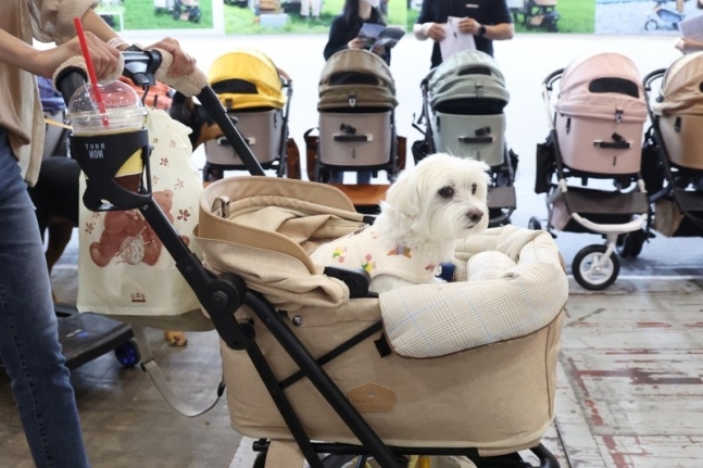 경기도 고양시 킨텍스에서 열린 2023 메가주(MEGA ZOO) 펫 산업 박람회에서 방문객이 강아지를 유모차에 태운 채 반려동물 유모차 앞을 지나고 있다. 연합뉴스