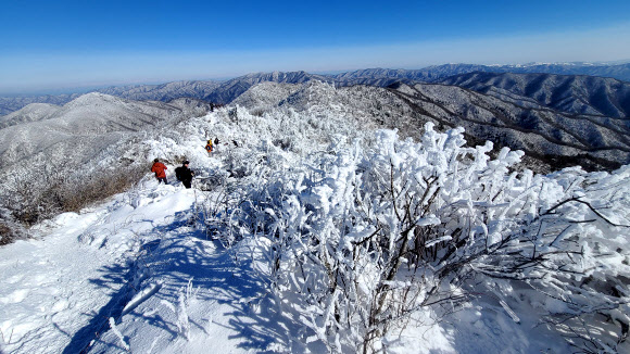 평창 계방산 상고대