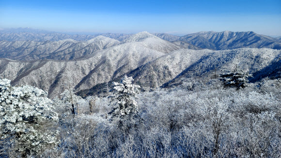 평창 계방산 상고대