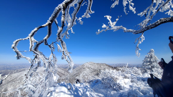 평창 계방산 상고대