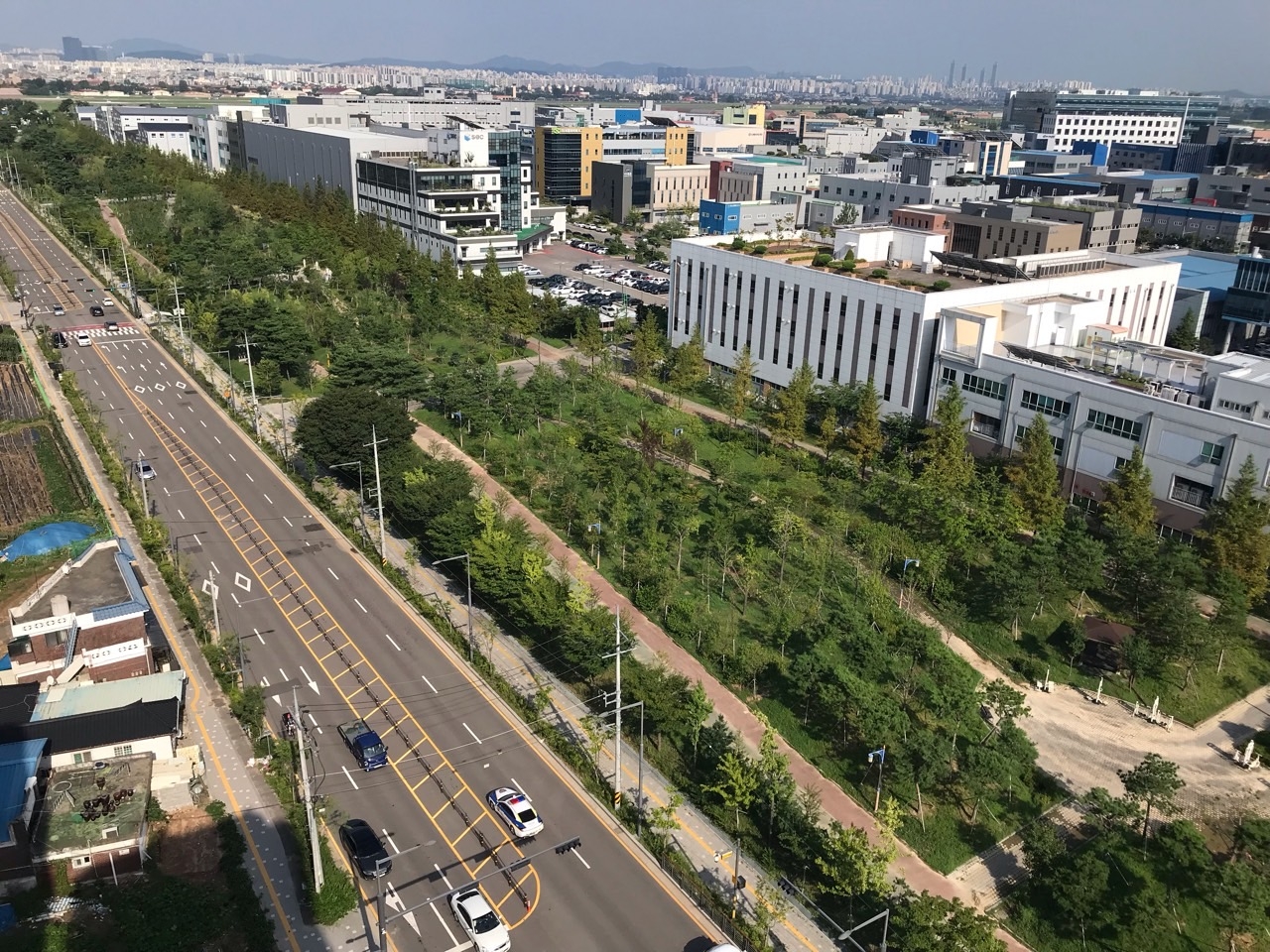 경기 수원산업단지에 조성된 미세먼지 차단숲. 산림청