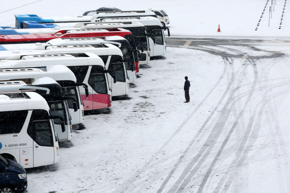 ‘대설주의보’, 중단된 파주 DMZ평화관광