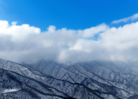 10일 오전 강원 양양군 구룡령 정상에서 바라본 백두대간이 눈과 안개로 겨울 풍광을 연출하고 있다. 2024.1.10 연합뉴스