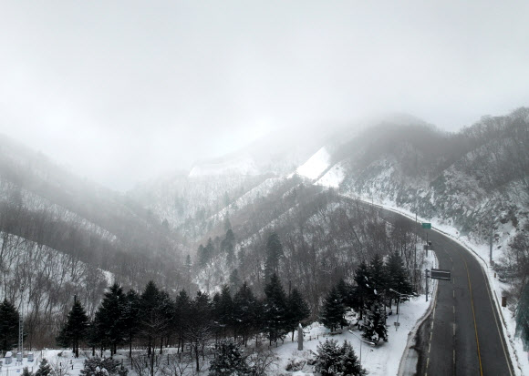 10일 오전 강원 양양군 구룡령 정상에서 바라본 백두대간이 눈과 안개로 겨울 풍광을 연출하고 있다. 2024.1.10 연합뉴스