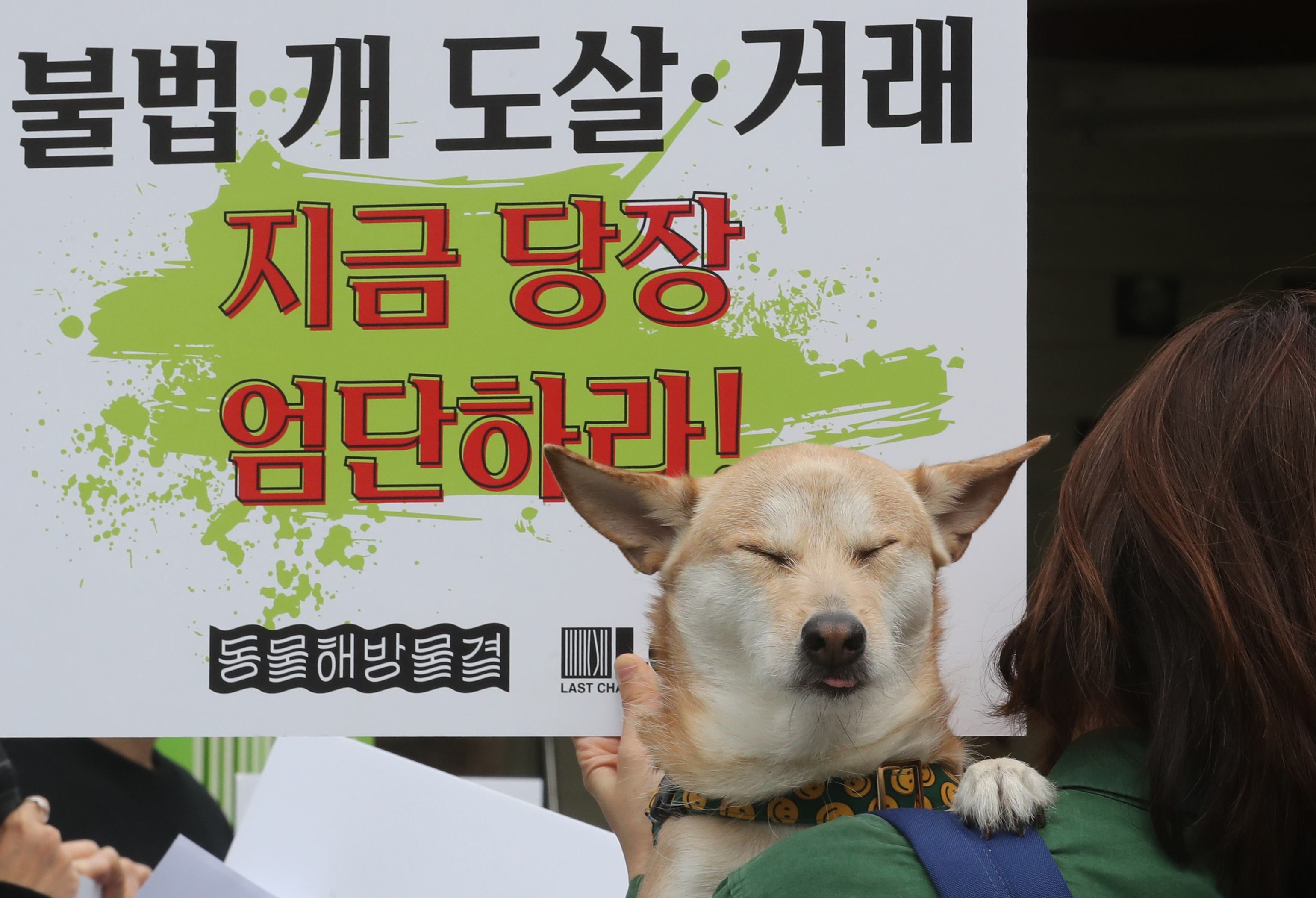 날일월-03월-국제강아지의날-강아지 공장 폐쇄 촉구 기자회견