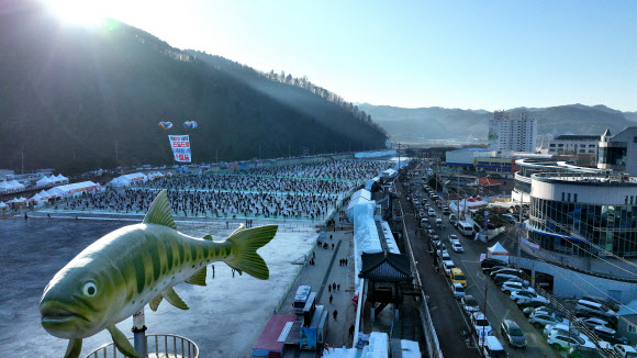 13일 오전 강원 화천군 화천읍 화천천에서 열린 ‘2024 산천어축제’를 찾은 관광객들이 얼음낚시를 즐기고 있다. 군에 따르면 개막 8일 만에 누적 관광객 50만명이 축제장을 찾았다. 2024.1.13. 화천군 제공