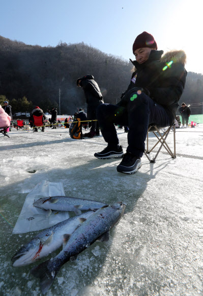 13일 오전 강원 화천군 화천읍 화천천에서 열린 ‘2024 산천어축제’ 얼음낚시터에서 관광객이 얼음 구멍에 낚시대를 드리우며 산천어가 잡히기를 기다리고 있다. 2024.1.14 연합뉴스