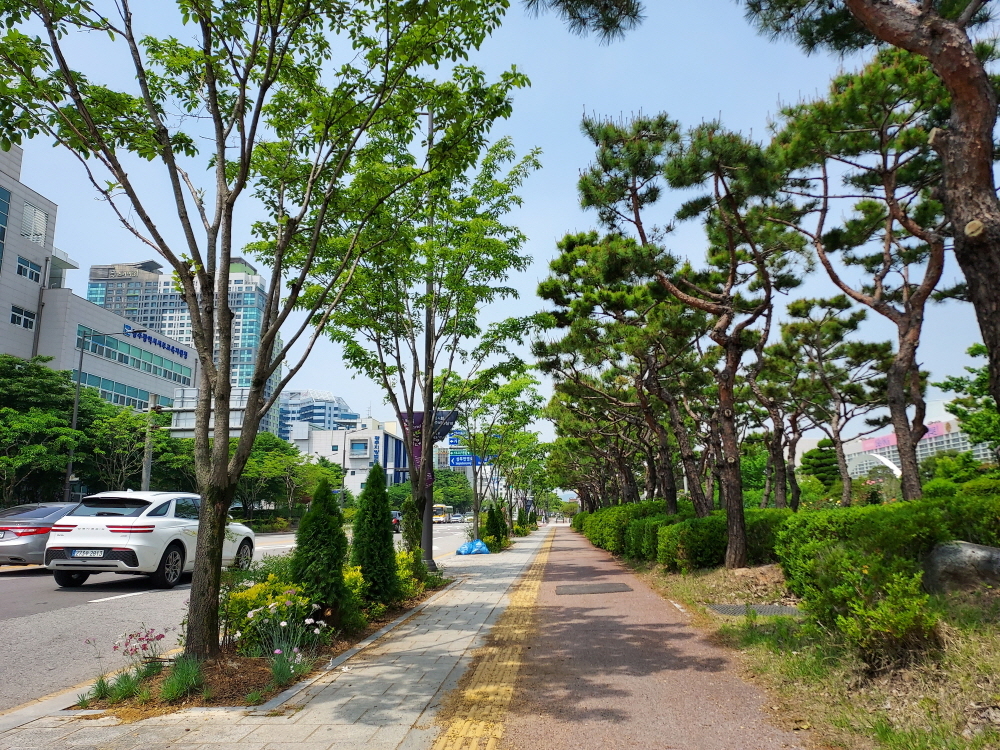 광주광역시청 앞에 조성된 ‘도시바람길 숲’ 전경. 광주광역시청 제공