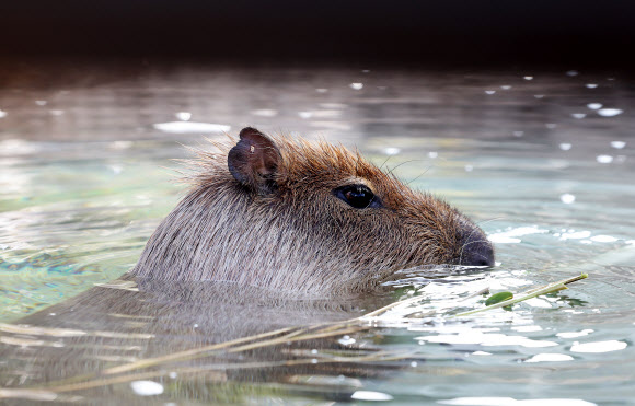 따뜻한 물속이 좋아