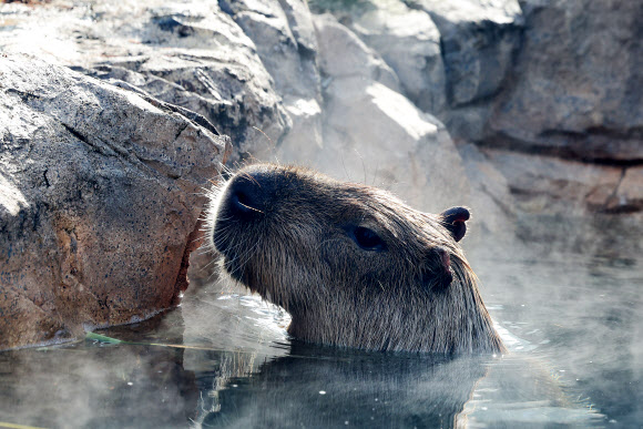 겨울에 즐기는 따뜻한 온천욕