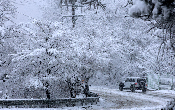 20일 대관령을 비롯한 강원 산간에 대설특보가 내려진 가운데 옛 영동고속도로 대관령 구간에서 차들이 조심스럽게 운행하고 있다. 2024.1.20  연합뉴스