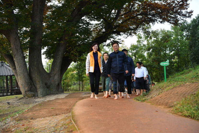 맨발걷기국민운동본부 명예회장으로 추대된 이철우(맨앞) 경북도지사가 도청 직원들과  함께 도청 천년숲 황톳길 맨발걷기를 하고 있다. 경북도 제공