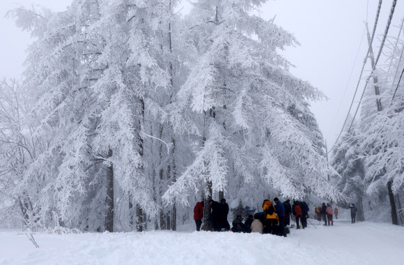 폭설이 내린 백두대간 대관령에는 21일 눈꽃 산행을 즐기려는 등산객과 관광객이 몰려 겨울 낭만을 만끽하고 있다. 2024.1.21  연합뉴스