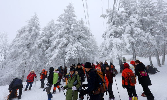 폭설이 내린 백두대간 대관령에는 21일 눈꽃 산행을 즐기려는 등산객과 관광객이 몰려 겨울 낭만을 만끽하고 있다. 2024.1.21  연합뉴스