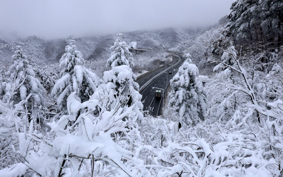 21일 폭설이 내린 백두대간 대관령 일원이 온통 흰 눈에 덮여 있다. 2024.1.21  연합뉴스