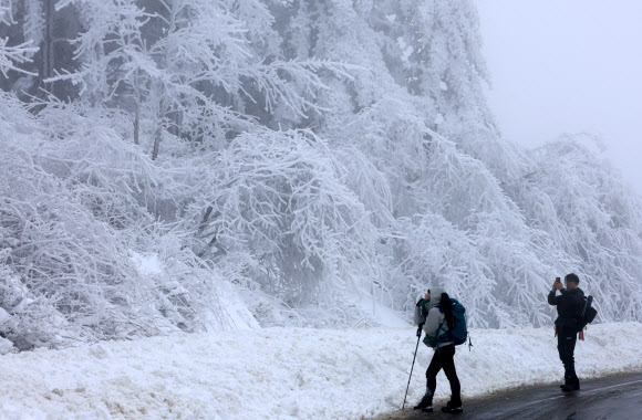 폭설이 내린 백두대간 대관령에는 21일 눈꽃 산행을 즐기려는 등산객과 관광객이 몰려 겨울 낭만을 만끽하고 있다. 2024.1.21  연합뉴스