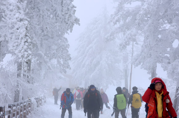 폭설이 내린 백두대간 대관령에는 21일 눈꽃 산행을 즐기려는 등산객과 관광객이 몰려 겨울 낭만을 만끽하고 있다. 2024.1.21  연합뉴스