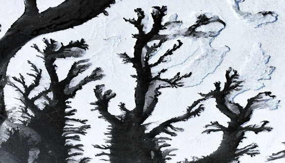 한파가 기승을 부리고 있는 23일 경기도 화성시 우정읍 매향항 주변 갯벌이 얼어있다. 2024.1.23  연합뉴스