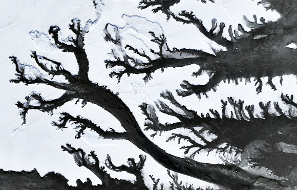 한파가 기승을 부리고 있는 23일 경기도 화성시 우정읍 매향항 주변 갯벌이 얼어있다. 2024.1.23  연합뉴스