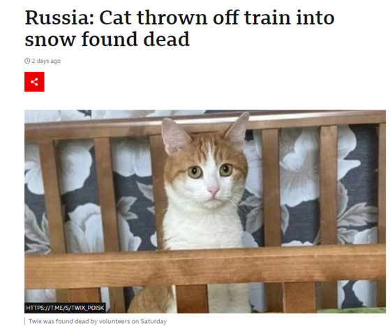 러시아에서 영하 30도 추위에 기차 밖으로 내던져 졌다가 숨진 채 발견된 고양이 ‘트윅스’.사진 영국 BBC 홈페이지 캡처