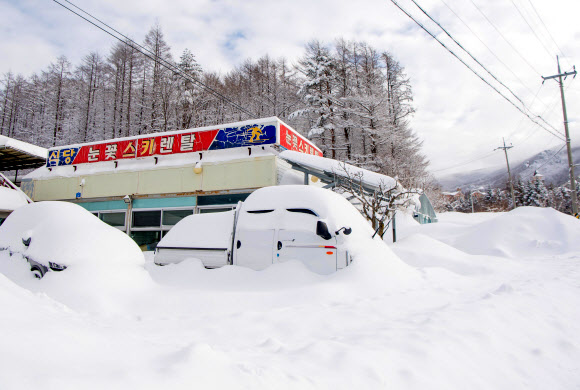 6일 강원 고성지역에 많은 눈이 쌓여있다. 강원 산지와 동해안 곳곳에는 지난 4일 오후부터 이날까지 최대 30㎝ 이상 많은 눈이 내렸다. 2024.2.6. 강원 고성군 제공