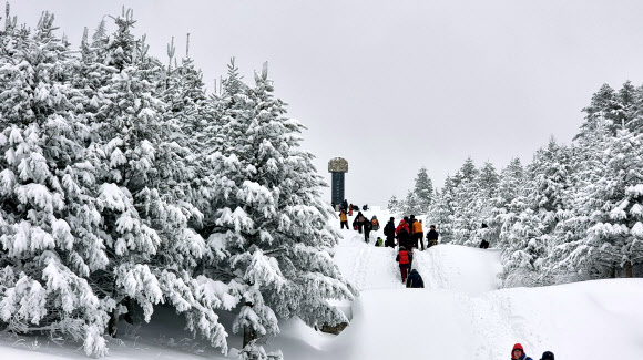 강원 산간과 동해안에 폭설이 내린 6일 멋진 설경을 자랑하는 대관령 일원이 눈꽃 산행을 온 등산객들로 붐비고 있다. 2024.2.6 연합뉴스