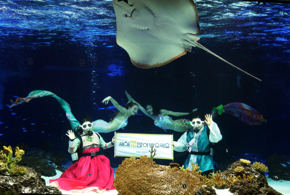 설을 나흘 앞둔 6일 오전 경기도 수원시 영통구 아쿠아플라넷 광교에서 아쿠아리스트들이 새해 인사를 하고 있다. 2024.2.6  연합뉴스