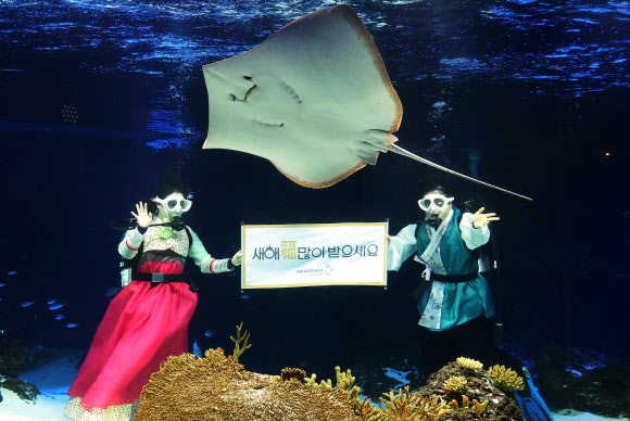 설을 나흘 앞둔 6일 오전 경기도 수원시 영통구 아쿠아플라넷 광교에서 아쿠아리스트들이 새해 인사를 하고 있다. 2024.2.6  연합뉴스