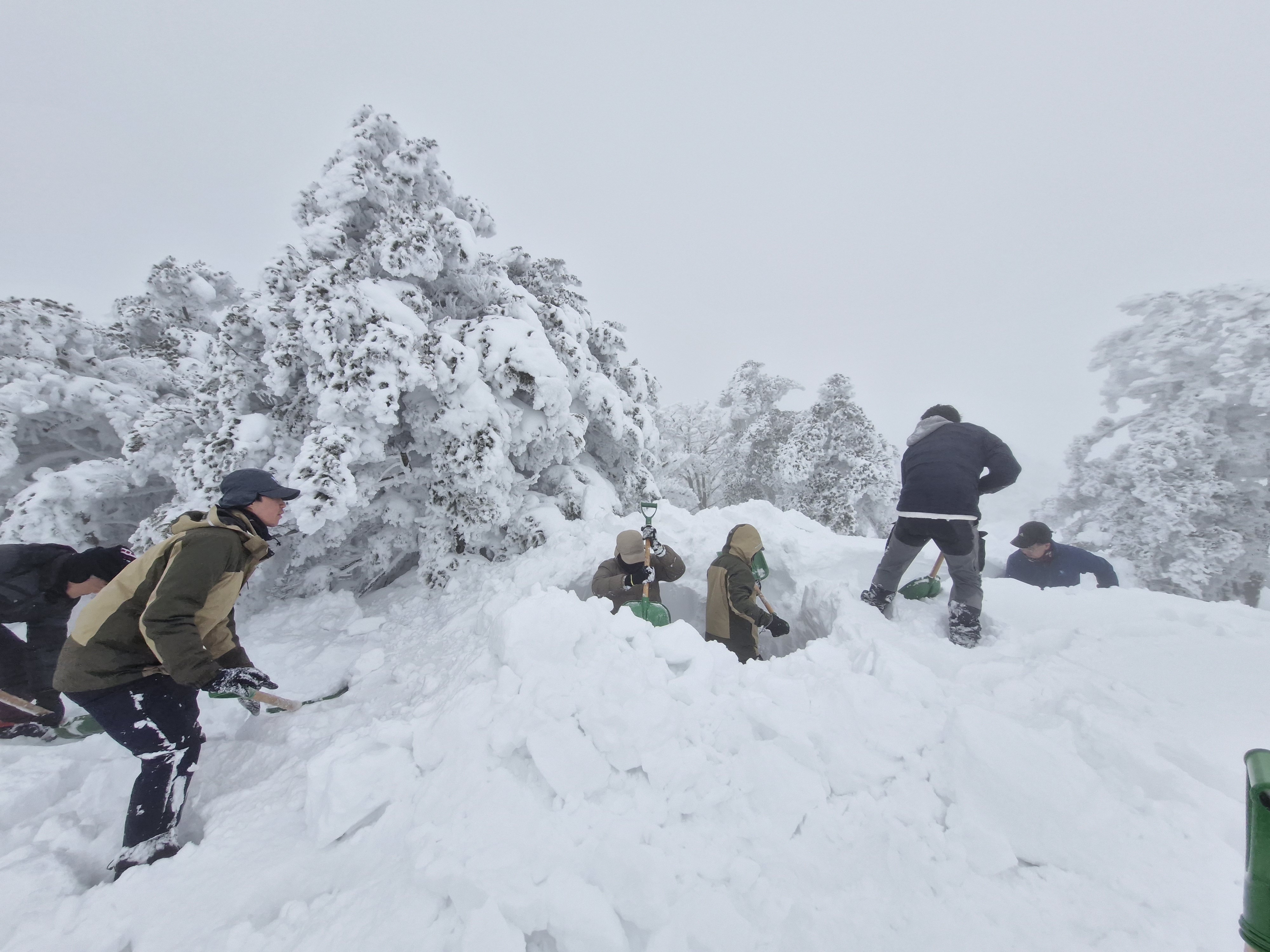 3박4일 내린 눈에 겨울왕국이 된 한라산 탐방로 길트기 작업을 하는 한라산국립공원관리소 직원들과 산악회원들의 모습. 세계유산본부 한라산국립공원 제공