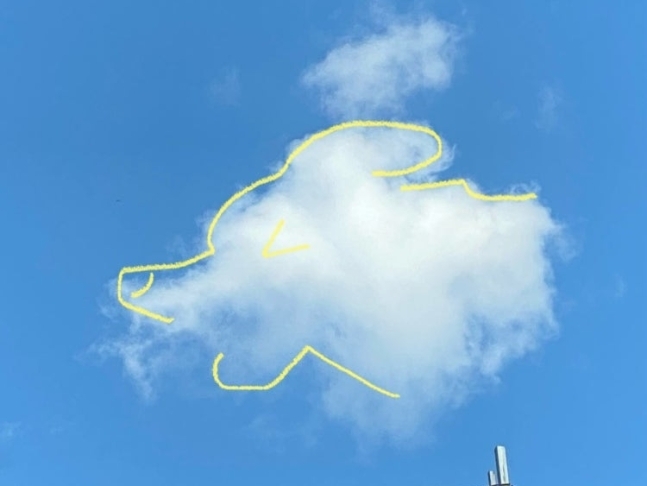 삶을 살아야 하는 이유를 묻는 학생에게 한 네티즌이 남긴 위로가 감동을 안겼다. 구름 위에 강아지를 그린 사진. 네이버 질의응답(Q&amp;A) 서비스 ‘지식인’ 캡처