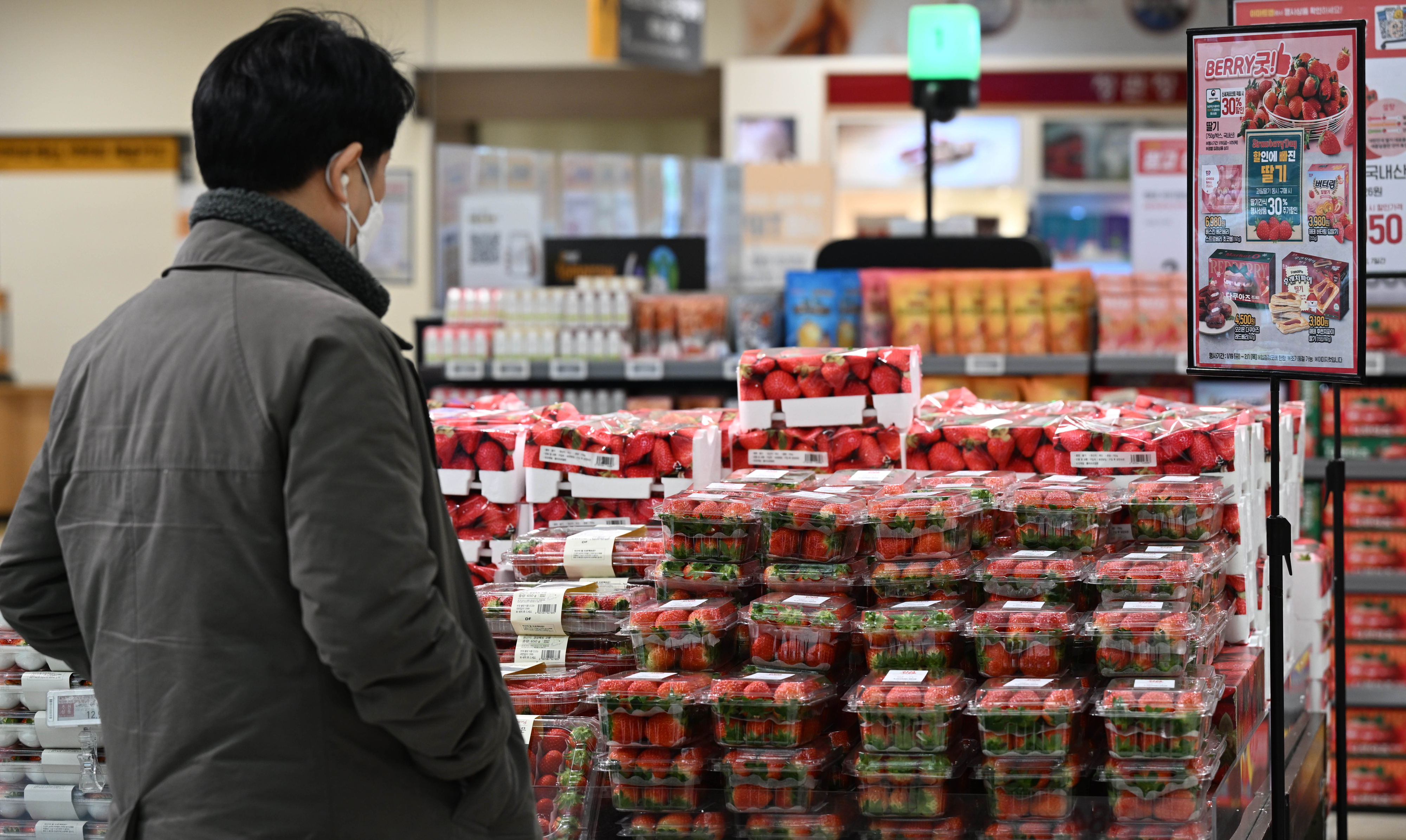 치솟은 과일 가격이 민족 대명절 설을 앞두고 잡히지 않는 가운데 25일 서울 한 대형마트에서 한 소비자가 과일을 고르고 있다. 한국소비자단체협의회 물가감시센터의 1차 설 물가조사 결과에 따르면 사과와 배 곶감, 단감 등으로 1년 전 대비 이들의 평균 인상률은 무려 31.7%에 달했다. 지난해 설 물가 1차 조사 대비 단감(5개) 가격은 48.0% 치솟았고 배(3개)는 36.1%, 사과(5개)는 30.8%, 곶감(상주산·10개)도 18.6% 오른 것으로 파악됐다. 2024.1.25 홍윤기 기자