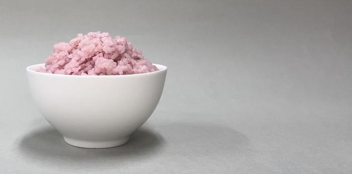 쌀알 내부에 동물 지방과 근육 세포를 배양한 쌀로 만든 밥  연세대 제공