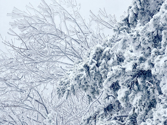 강원 대부분 지역에 대설특보가 내려진 21일 오후 강원 양양군 서면 오색리 한계령휴게소에서 바라본 한계령 일대가 눈으로 뒤덮여 있다. 강원지방기상청에 따르면 이날 오후 2시 기준 누적 적설량은 향로봉 48.6㎝, 속초 설악동 44.3㎝, 삽당령 33.2㎝, 조침령 31.1㎝, 양양 오색 27㎝, 대관령 25.2㎝ 등을 기록했다. 2024.2.21  연합뉴스