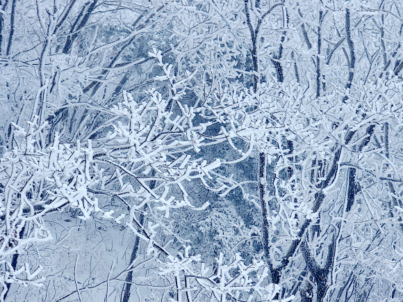 강원 대부분 지역에 대설특보가 내려진 21일 오후 강원 양양군 서면 오색리 한계령휴게소에서 바라본 한계령 일대가 눈으로 뒤덮여 있다. 강원지방기상청에 따르면 이날 오후 2시 기준 누적 적설량은 향로봉 48.6㎝, 속초 설악동 44.3㎝, 삽당령 33.2㎝, 조침령 31.1㎝, 양양 오색 27㎝, 대관령 25.2㎝ 등을 기록했다. 2024.2.21  연합뉴스