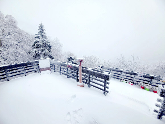 강원 대부분 지역에 대설특보가 내려진 21일 오후 강원 양양군 서면 오색리 한계령휴게소에서 바라본 한계령 일대가 눈으로 뒤덮여 있다. 강원지방기상청에 따르면 이날 오후 2시 기준 누적 적설량은 향로봉 48.6㎝, 속초 설악동 44.3㎝, 삽당령 33.2㎝, 조침령 31.1㎝, 양양 오색 27㎝, 대관령 25.2㎝ 등을 기록했다. 2024.2.21  연합뉴스