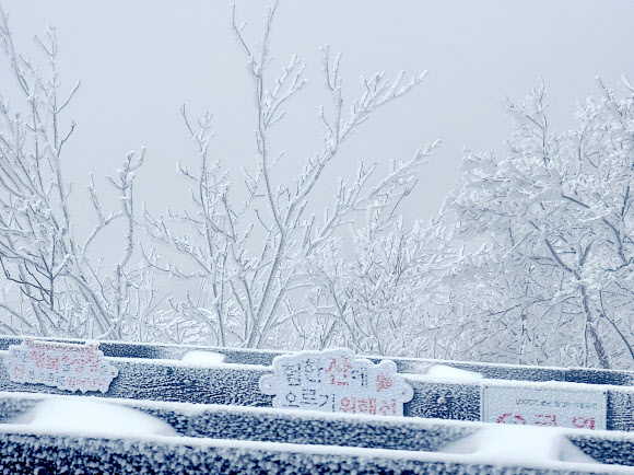 강원 대부분 지역에 대설특보가 내려진 21일 오후 강원 양양군 서면 오색리 한계령휴게소에서 바라본 한계령 일대가 눈으로 뒤덮여 있다. 강원지방기상청에 따르면 이날 오후 2시 기준 누적 적설량은 향로봉 48.6㎝, 속초 설악동 44.3㎝, 삽당령 33.2㎝, 조침령 31.1㎝, 양양 오색 27㎝, 대관령 25.2㎝ 등을 기록했다. 2024.2.21  연합뉴스
