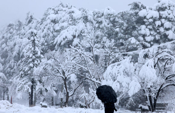 대설특보가 발효 중인 21일 강원 강릉시 성산면 대관령 기슭의 한 마을에 많은 눈이 쌓여 있다. 2024.2.21  연합뉴스