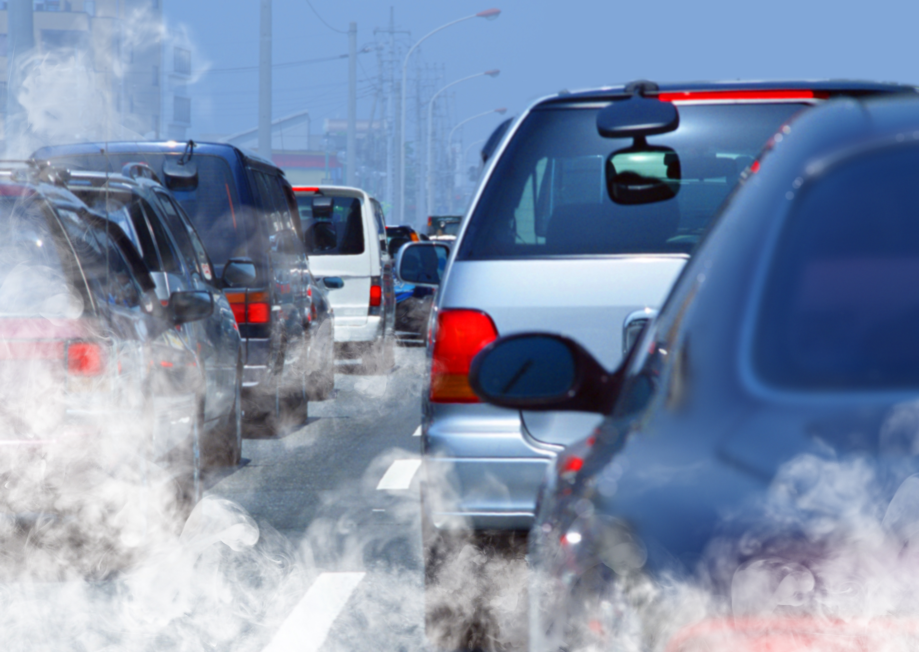 자동차 배기가스같이 교통 관련 대기오염 물질이 알츠하이머 치매를 유발할 수 있다는 연구 결과가 나왔다. 교통 관련 대기오염 물질은 알츠하이머 유발 유전자가 없는 사람에게도 알츠하이머를 유발시키는 것으로 나타났다.  영국 옥스퍼드대 제공