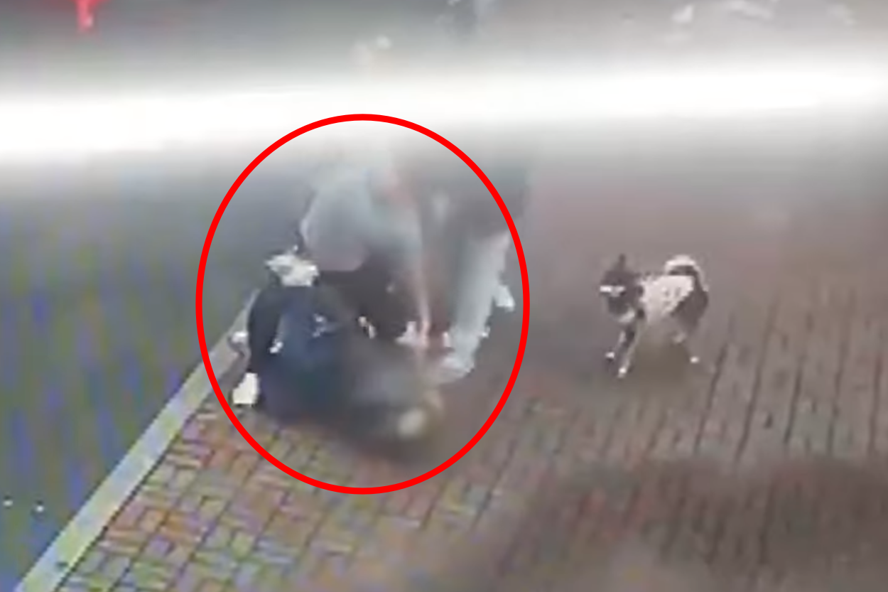 강원도의 한 아파트 단지 놀이터 근처에서 담배를 피운 여성이 주짓수 관장에게 폭행당하는 일이 발생했다. JTBC ‘사건반장’ 캡처