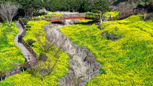 봄기운 가득한 엉덩물 계곡
